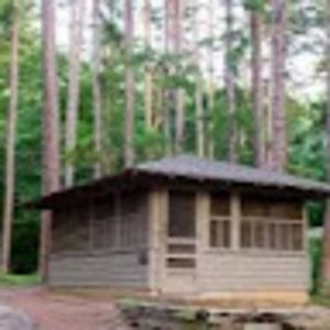 Meet your Posher, Patti